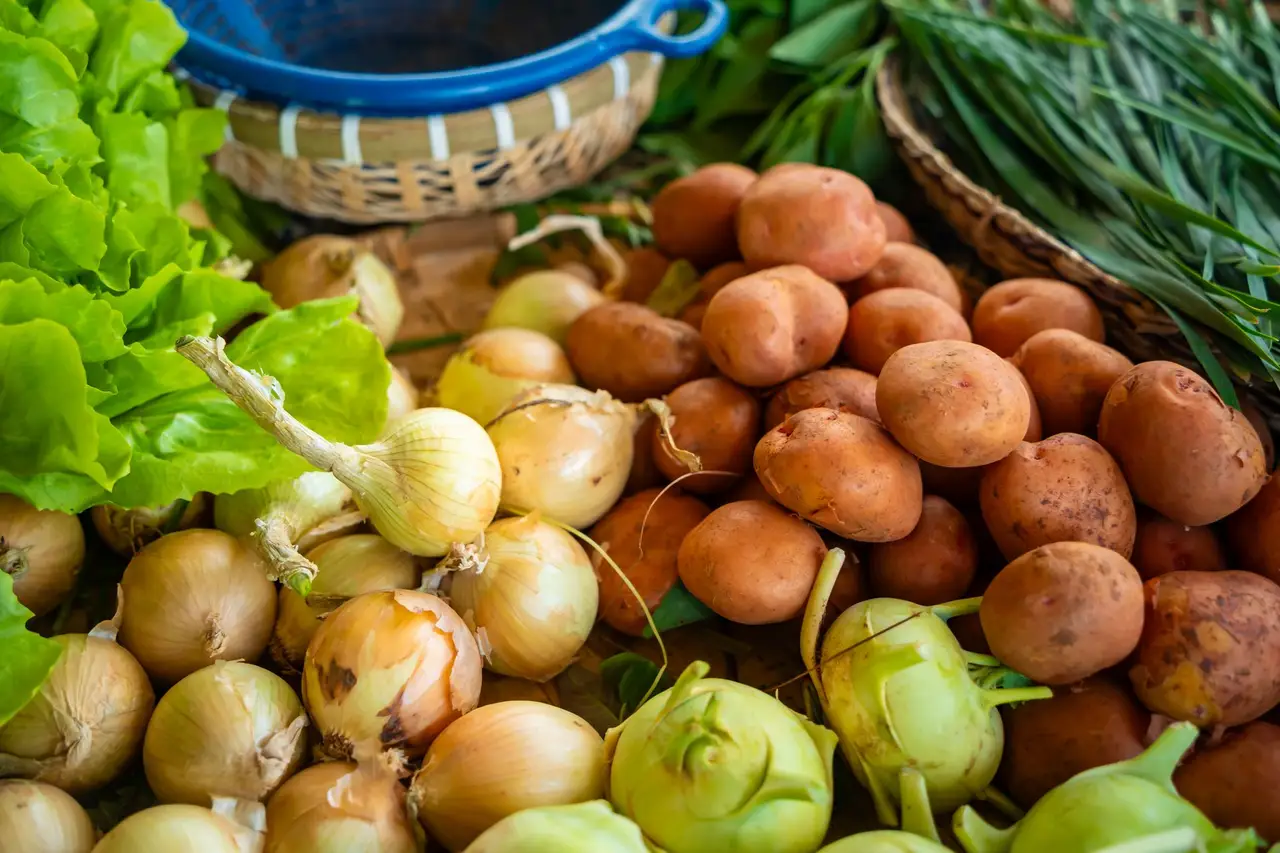 Des cagettes de légumes de saison alignées sous un auvent.