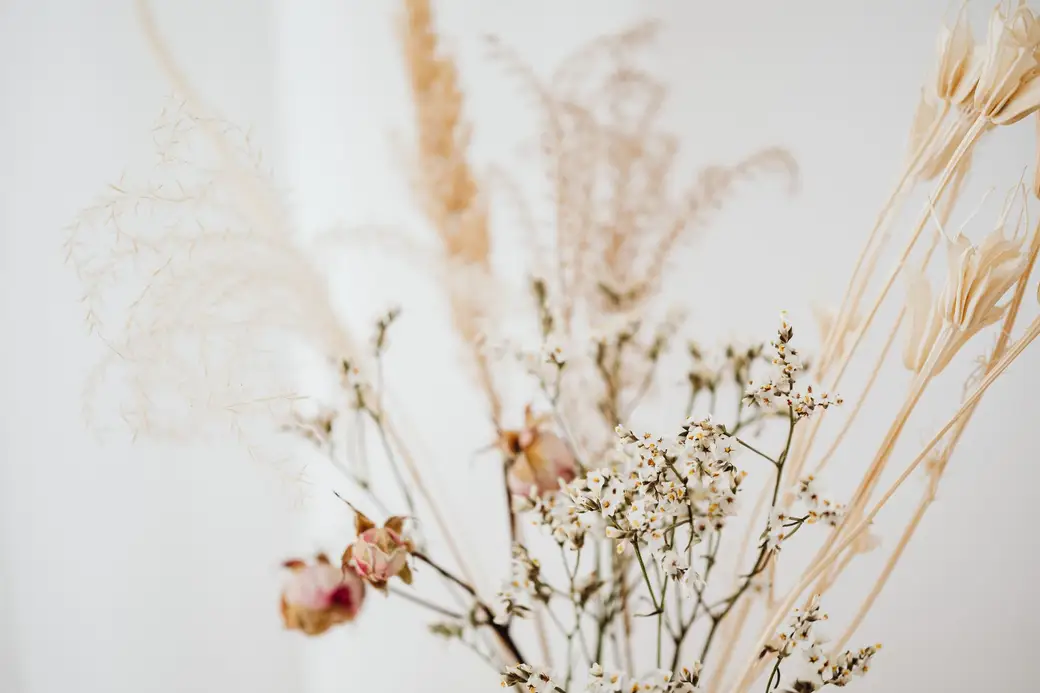 Un bouquet de fleurs séchées dans des tons crème et beige, sur fond clair.